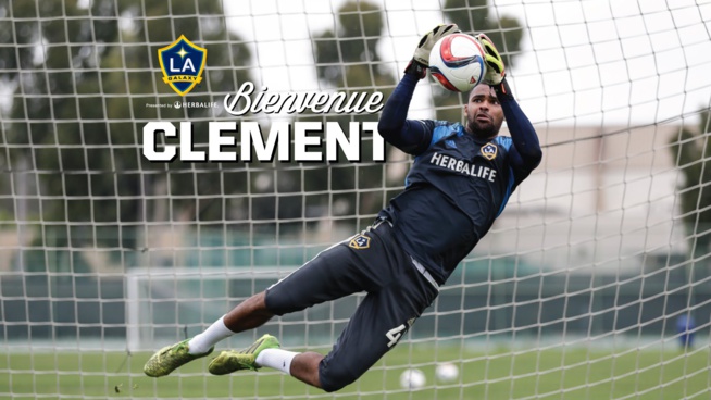 CLEMENT DIOP SUR SA SELECTION: "Le lion regagne sa tanière" CLEMENT DIOP SUR SA SELECTION: "Le lion regagne sa tanière"