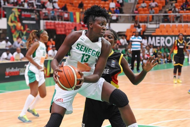 AFROBASKET FEMININ 2017 : Les « Lionnes » débutent contre la Guinée