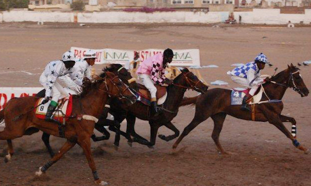 COURSES HIPPIQUES- 16e JOURNEE: Major, Buraax et Makha vainqueurs