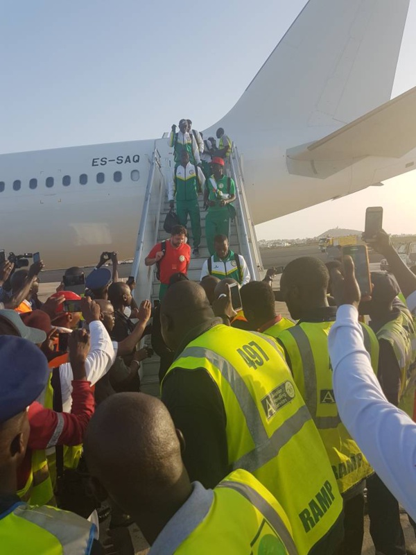 Qualifiés au Mondial-2018: Les Lions accueillis en héros Qualifiés au Mondial-2018: Les Lions accueillis en héros