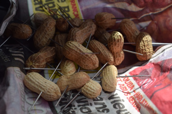 EXCLUSIF/ Bataille mystique autour du combat Modou Lo-Lac de Guier : Un partisan de Lac 2 arrêté au Stade LSS EXCLUSIF/ Bataille mystique autour du combat Modou Lo-Lac de Guier : Un partisan de Lac 2 arrêté au Stade LSS
