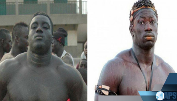 Lutte/ Choc des meilleurs espoirs ce dimanche : Boy Niang 2 vs Sa Thiès Lutte/ Choc des meilleurs espoirs ce dimanche : Boy Niang 2 vs Sa Thiès