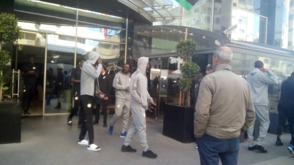 Arrêt sur image : Promenade des lions sur le boulevard d’Anfan de Casablanca Arrêt sur image : Promenade des lions sur le boulevard d’Anfan de Casablanca
