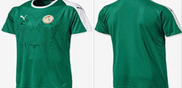 Puma dévoile le maillot extérieur des lions Puma dévoile le maillot extérieur des lions