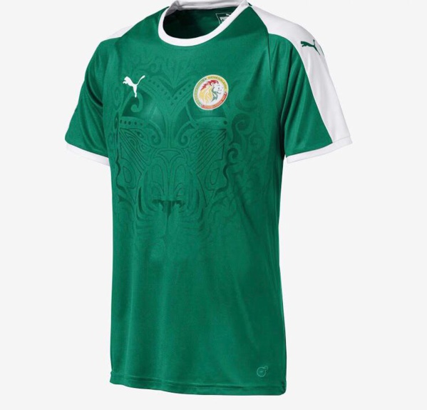 Puma dévoile le maillot extérieur des lions Puma dévoile le maillot extérieur des lions
