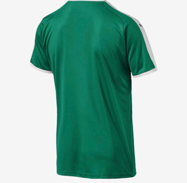 Puma dévoile le maillot extérieur des lions Puma dévoile le maillot extérieur des lions