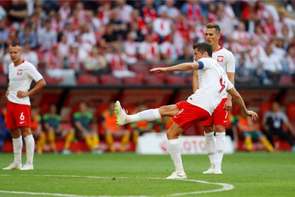 Adversaire des lions : Lewandowski et la Pologne cartonnent Adversaire des lions : Lewandowski et la Pologne cartonnent