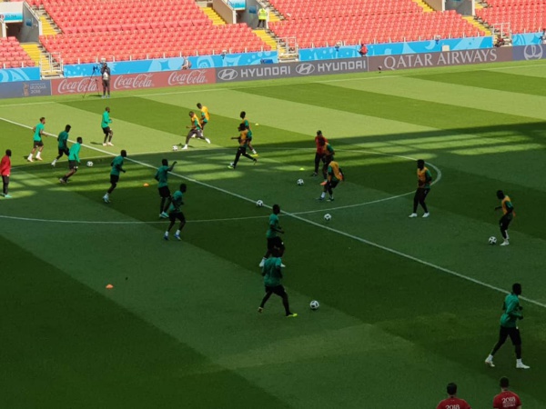 Stade du Spartak de Moscou : Les lions en reconnaissance du terrain