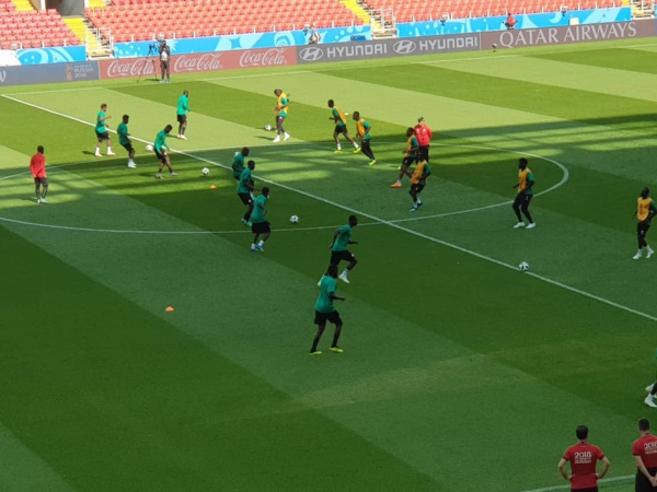 Stade du Spartak de Moscou : Les lions en reconnaissance du terrain