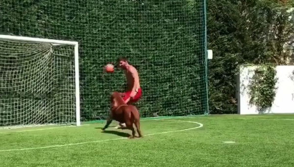Quand Messi fait des misères à son chien (vidéo)