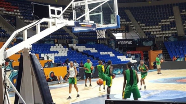 Dix Lionnes ont pris part à l’entraînement à la veille de Sénégal vs Chine