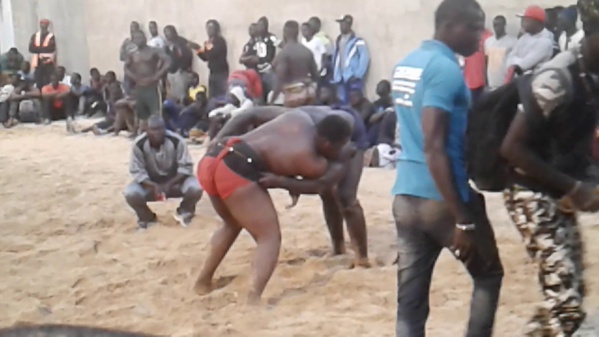 Lutte Simple : Adrien Senghor repousse la date du 21 octobre Lutte Simple : Adrien Senghor repousse la date du 21 octobre