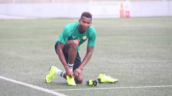 Equipe nationale : Découvrez les première image d’Habib Diallo avec les « Lions » Equipe nationale : Découvrez les première image d’Habib Diallo avec les « Lions »