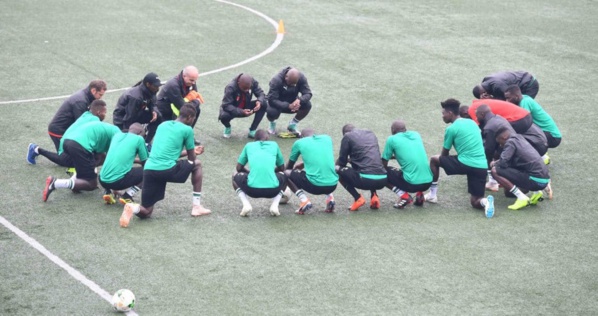 Equipe nationale : Découvrez les première image d’Habib Diallo avec les « Lions » Equipe nationale : Découvrez les première image d’Habib Diallo avec les « Lions »
