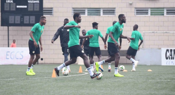 Equipe nationale : Découvrez les première image d’Habib Diallo avec les « Lions »