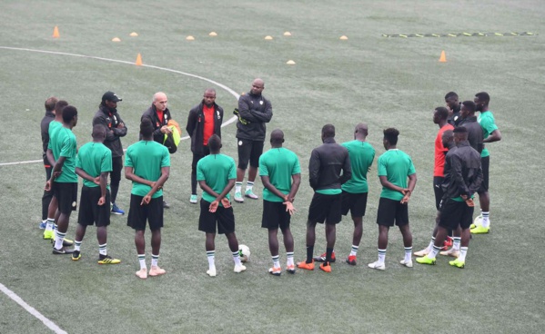 Equipe nationale : Découvrez les première image d’Habib Diallo avec les « Lions » Equipe nationale : Découvrez les première image d’Habib Diallo avec les « Lions »