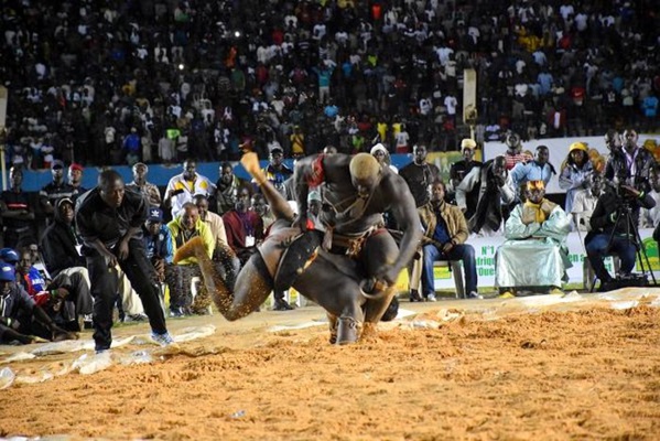 Balla Gaye 2 et Modou Lô jouent la finale ce mardi Balla Gaye 2 et Modou Lô jouent la finale ce mardi