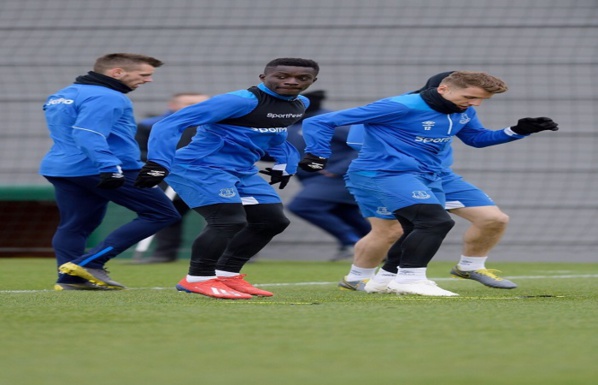 Paul Scholes pense que Idrissa Gana GUEYE serait la recrue idéale pour Manchester United Paul Scholes pense que Idrissa Gana GUEYE serait la recrue idéale pour Manchester United