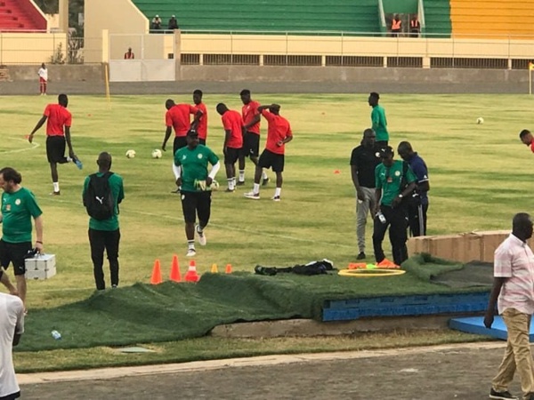 Galop des Lions à Thiès : le public a répondu présent (Photos) Galop des Lions à Thiès : le public a répondu présent (Photos)