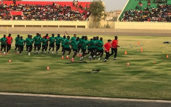 Galop des Lions : l'ambiance était bon enfant au sein de la tanière. Galop des Lions : l'ambiance était bon enfant au sein de la tanière.