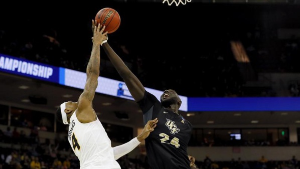 Tacko Fall: le phénomène trop grand (2,29 m) pour jouer au basket