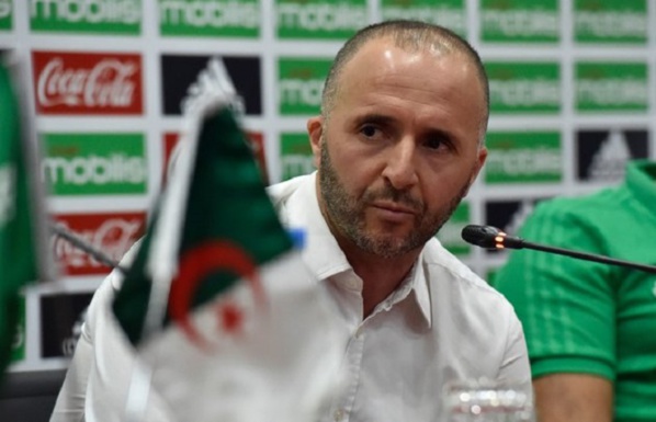 Djamel Belmadi, coach de l’Algérie : « Le Sénégal est favori de notre groupe »