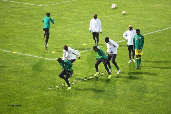 Coupe du monde Pologne : Les lionceaux ont effectué leur première séance d’entrainement à Lublin Coupe du monde Pologne : Les lionceaux ont effectué leur première séance d’entrainement à Lublin