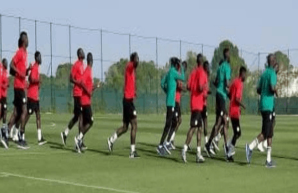 Deux galops d’entraînement intenses pour les Lions ce dimanche, en Espagne Deux galops d’entraînement intenses pour les Lions ce dimanche, en Espagne