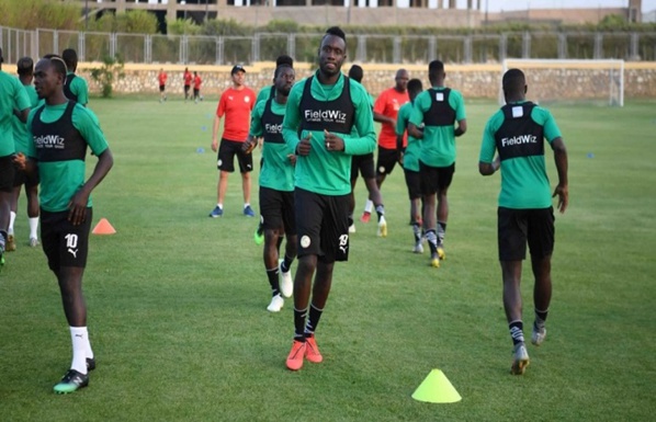 CAN 2019 : les Lions surveillés par GPS CAN 2019 : les Lions surveillés par GPS