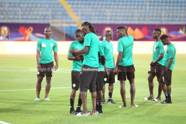 Egypte: 1er galop des Lions après la Tanzanie, une séance réservée aux « Coiffeurs » Egypte: 1er galop des Lions après la Tanzanie, une séance réservée aux « Coiffeurs »