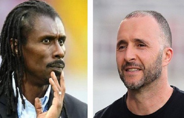 CAN 2019 : Les entraîneurs locaux sur le toit de l’Afrique CAN 2019 : Les entraîneurs locaux sur le toit de l’Afrique