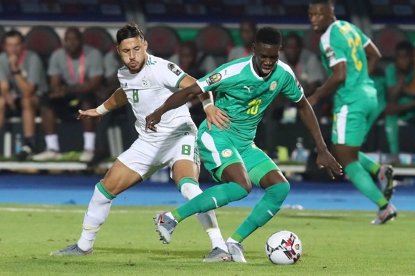 Finale CAN 2019: Analyse et notes du match des Lions Finale CAN 2019: Analyse et notes du match des Lions