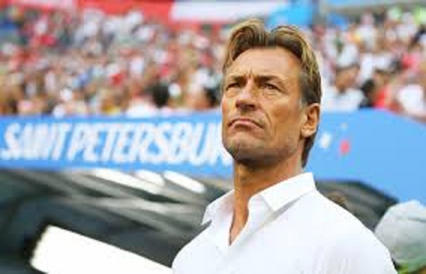 CAN 2019 : Hervé Renard présente sa démission CAN 2019 : Hervé Renard présente sa démission