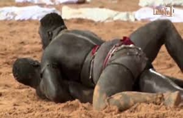 Vidéo : Gora Sock obtient victoire douteuse sur Tyson 2 Vidéo : Gora Sock obtient victoire douteuse sur Tyson 2