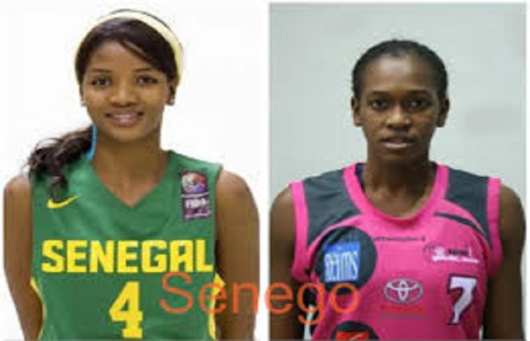 Afrobasket 2019 : Oumou Khaïry Thiam et Lika Sy écartées du groupe Afrobasket 2019 : Oumou Khaïry Thiam et Lika Sy écartées du groupe