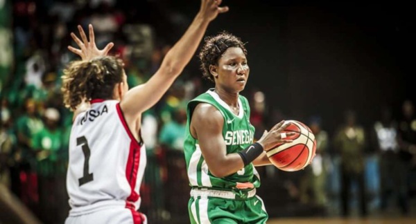 Cheikh Sarr salue la belle performance de Ndeye Sene face à l’Egypte Cheikh Sarr salue la belle performance de Ndeye Sene face à l’Egypte