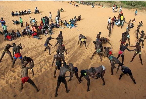 Pour manque de lieux d’entraînement, les écuries dans la tourmente Pour manque de lieux d’entraînement, les écuries dans la tourmente