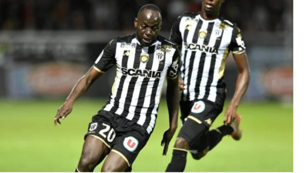 Angers de Sada Thioub nouveau dauphin du PSG Angers de Sada Thioub nouveau dauphin du PSG