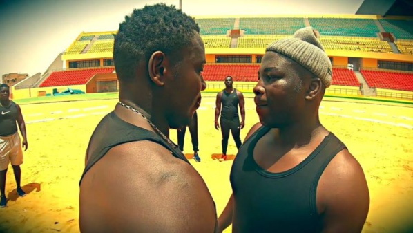 Saison de lutte 2019-2020 : Voici le Programme de ce dimanche au stadium Iba Mar Diop