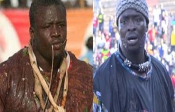 Urgent : La date du combat Siteu vs Papa Sow connue ! Urgent : La date du combat Siteu vs Papa Sow connue !