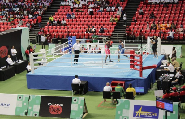 TQO : Pape Mamadou Ndiaye et Matar Sambou éliminés TQO : Pape Mamadou Ndiaye et Matar Sambou éliminés