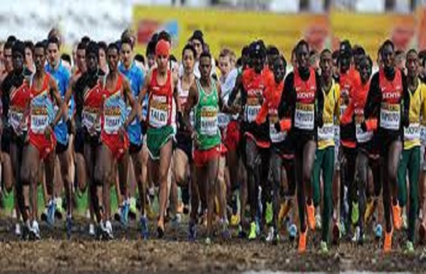 Les championnats d’afrique de cross country reportés à 2021 (officiel) Les championnats d’afrique de cross country reportés à 2021 (officiel)