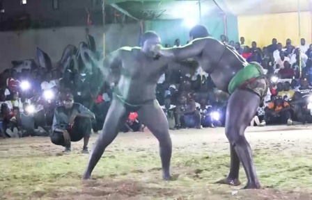 Lutte simple : 43 journées pour 64 galas, les lutteurs raflent 81 millions et 106 bœufs Lutte simple : 43 journées pour 64 galas, les lutteurs raflent 81 millions et 106 bœufs