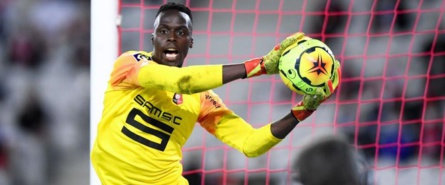 Edouard Mendy, joue-la comme Petr Cech Edouard Mendy, joue-la comme Petr Cech