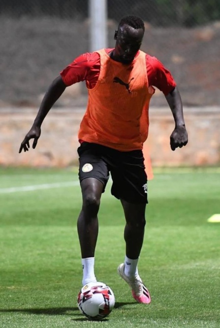 Revivez en image le premier galop des Lions à Rabat Revivez en image le premier galop des Lions à Rabat