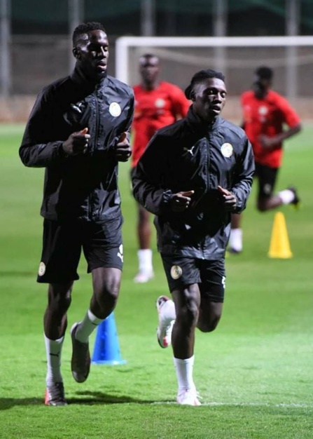 Revivez en image le premier galop des Lions à Rabat Revivez en image le premier galop des Lions à Rabat