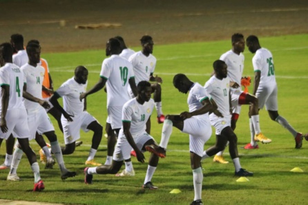 Equipe nationale : les Lions se sont entraînés après l’annulation du match Equipe nationale : les Lions se sont entraînés après l’annulation du match