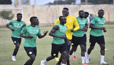 Match contre le Togo : suivez en images le premier galop d’entraînement des Lions Match contre le Togo : suivez en images le premier galop d’entraînement des Lions