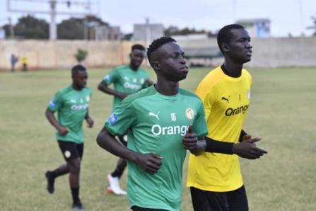 Match contre le Togo : suivez en images le premier galop d’entraînement des Lions Match contre le Togo : suivez en images le premier galop d’entraînement des Lions