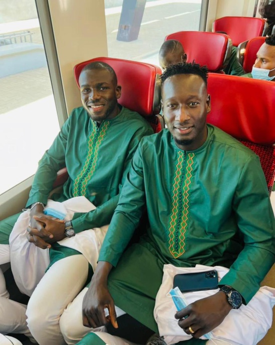  Direction palais : Les lions à bord du TER